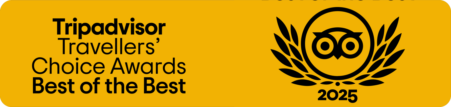 TripAdvisor Travellers' Choice Awards Best of the Best 2025